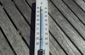 Im Sommer kühle Köpfe bewahren