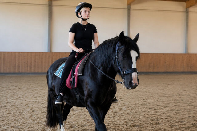 webProjekt der Integrationsagenutr_Teilnehmerin der Reittherapie