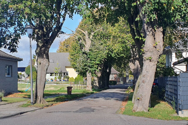 Friedhofstr